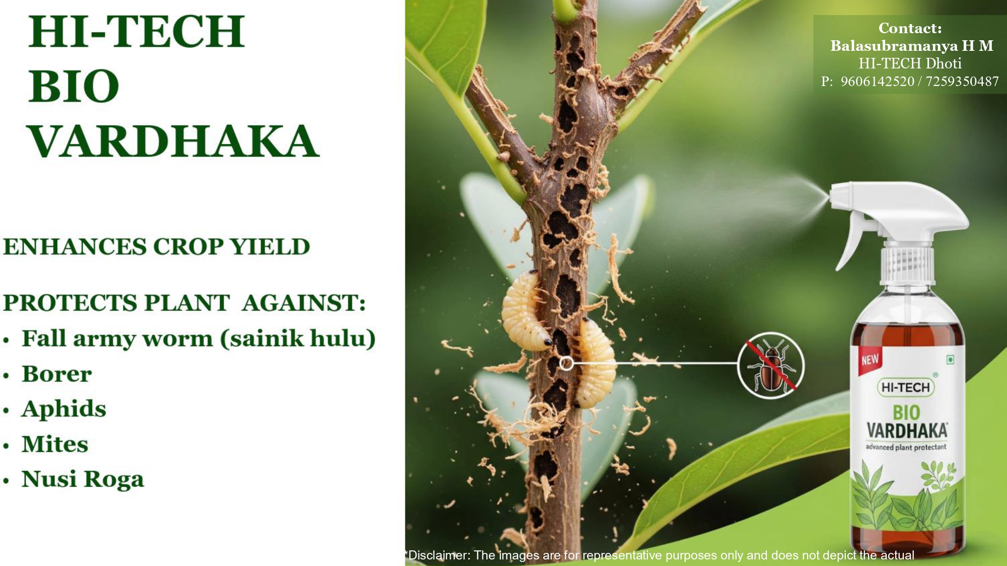 HI-TECH Bio Vardhaka spray bottle beside borer-damaged plant stem with larvae visible, showing what the product protects against