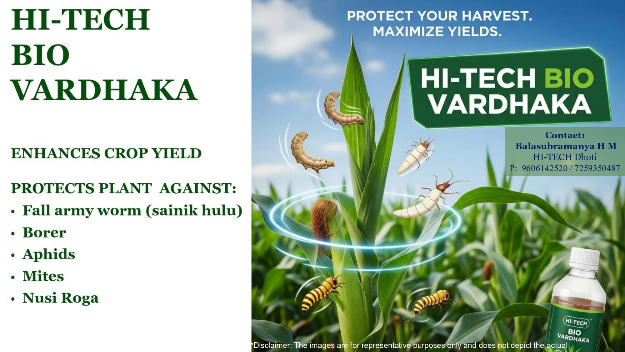 HI-TECH Bio Vardhaka — maize crop with multiple pest insects shown being repelled by bio shield ring, with product bottle on right